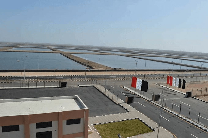 Fish Farms in Berket Ghalyoun